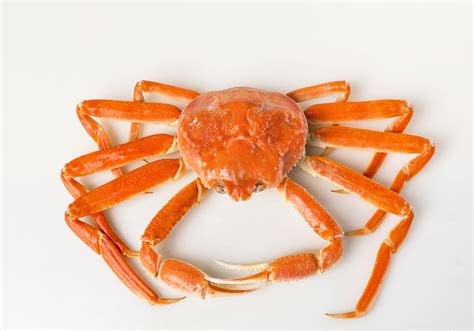 is snow crab healthy